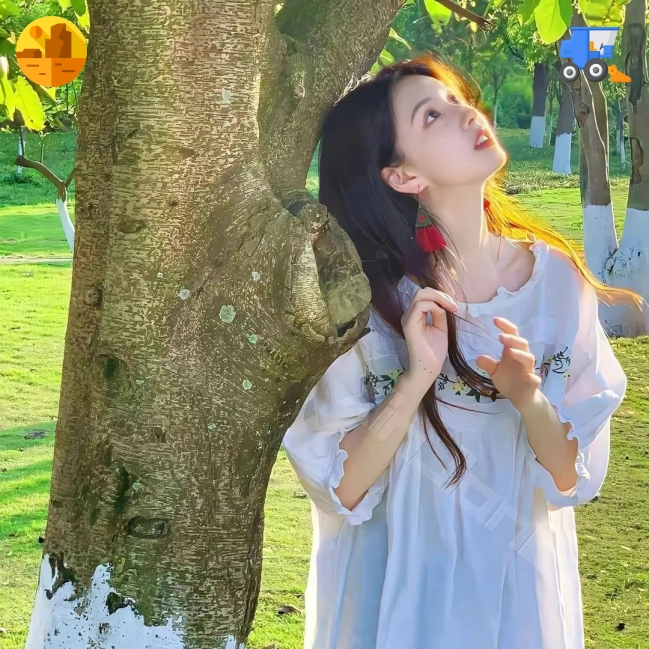 网友阿峰